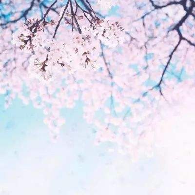 发生了什么?午后,沪指再度失守3900点